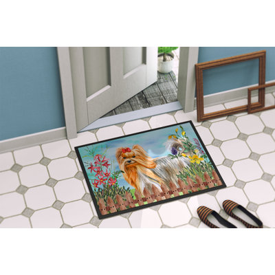 Non-Slip Outdoor Doormat