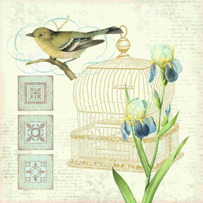 " Ornate Cage And Bird "