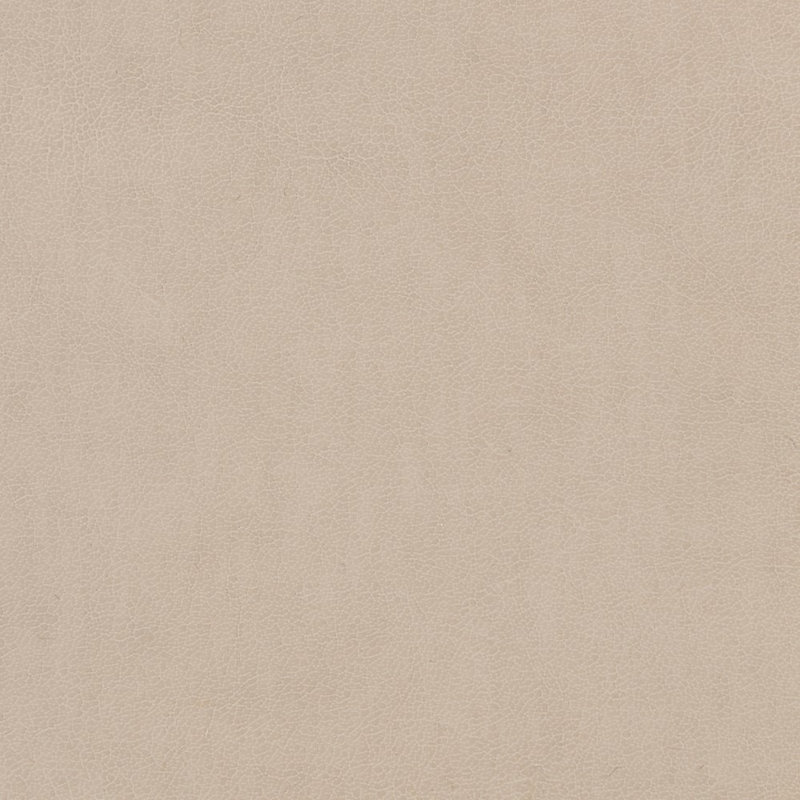 Caracole Upholstery Upholstered 80'' Sofa