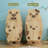 Burlywood Modern Solid wood Standard Bookcase