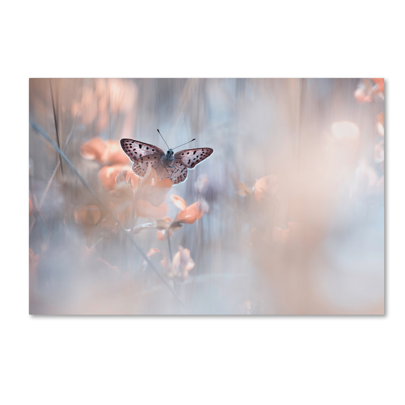 « dakinis is watch over us », reproduction de photo sur toile tendue, H 22 po x l 32 po