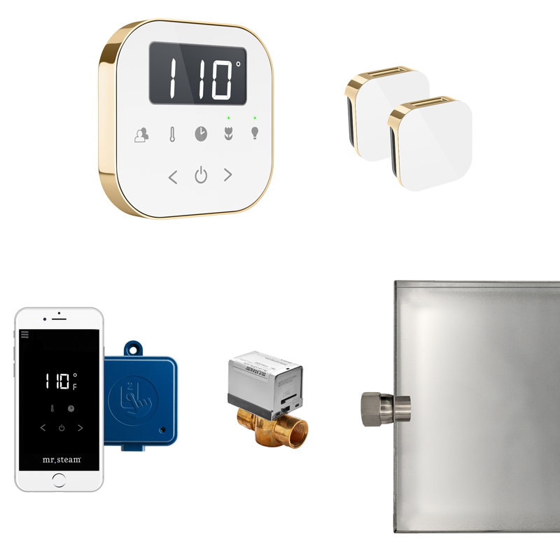AirButler Max 240 Steam Generator Package, White/Polished Brass