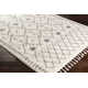 Mossy Moroccan Charcoal/Beige Area Rug