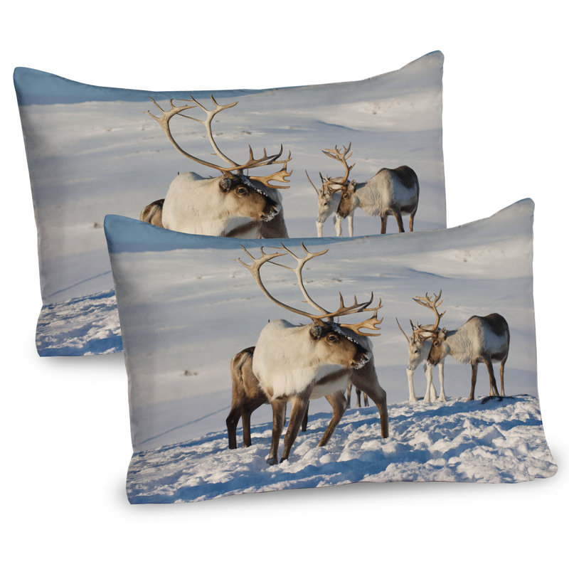Ensemble de 2 taies décoratives Ambesonne Winter Brown Reindeers, H 20 po x l 30 po