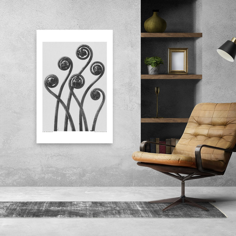 Adiantum Pedatum, rétro, reproduction d'art murale rétro, 48" H x 32" W