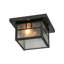 1 - Light Flush Mount