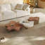 Solid Coffee Table