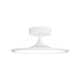 Daveney Single Light LED Semi Flush Mount