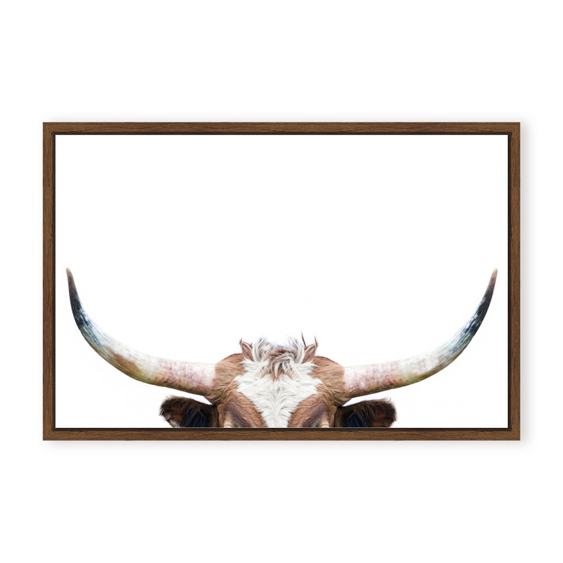 Nature Inspired Peeking Longhorn Cow by  - Picture Frame Photograph on Paper, 16" H x 24" W x 1.125" D, Black