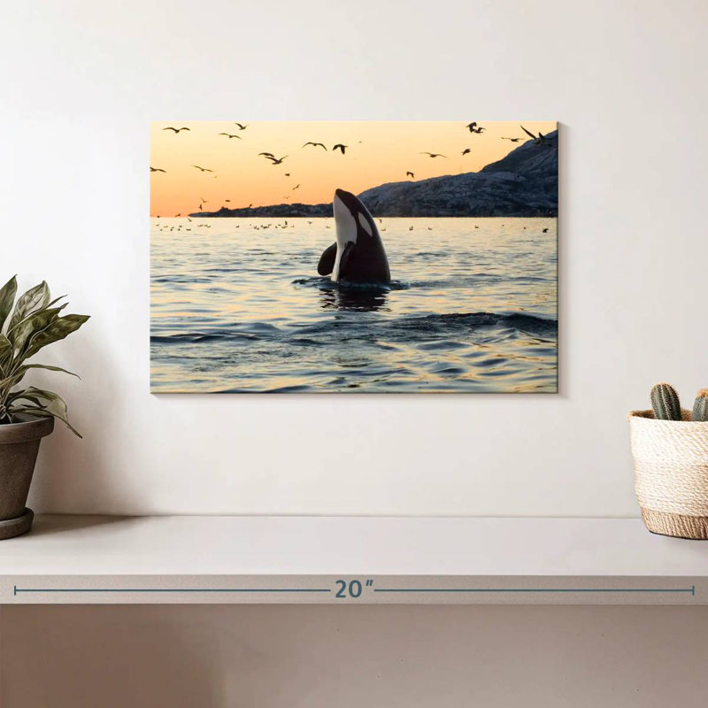 Brampt Spyhopping Orca Whale, 8" H x 12" W