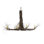 Twigs 6 - Light Chandelier