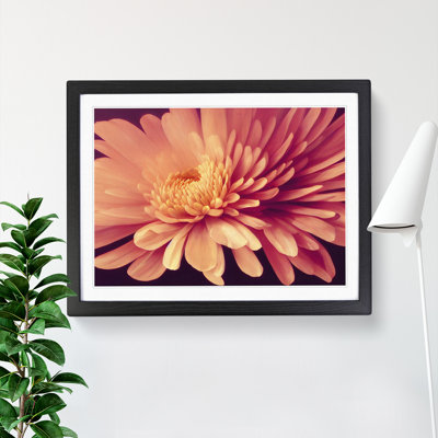 Gorgeous Chrysanthemum Flower 1 Piece Single Picture Frame Wall Art
