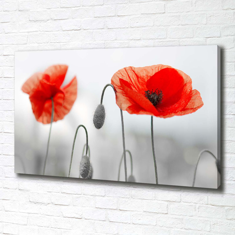 Maki - Wrapped Canvas Print