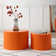 Evtimija Nesting Coffee Table