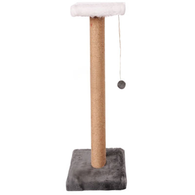 Cat Scratching Board