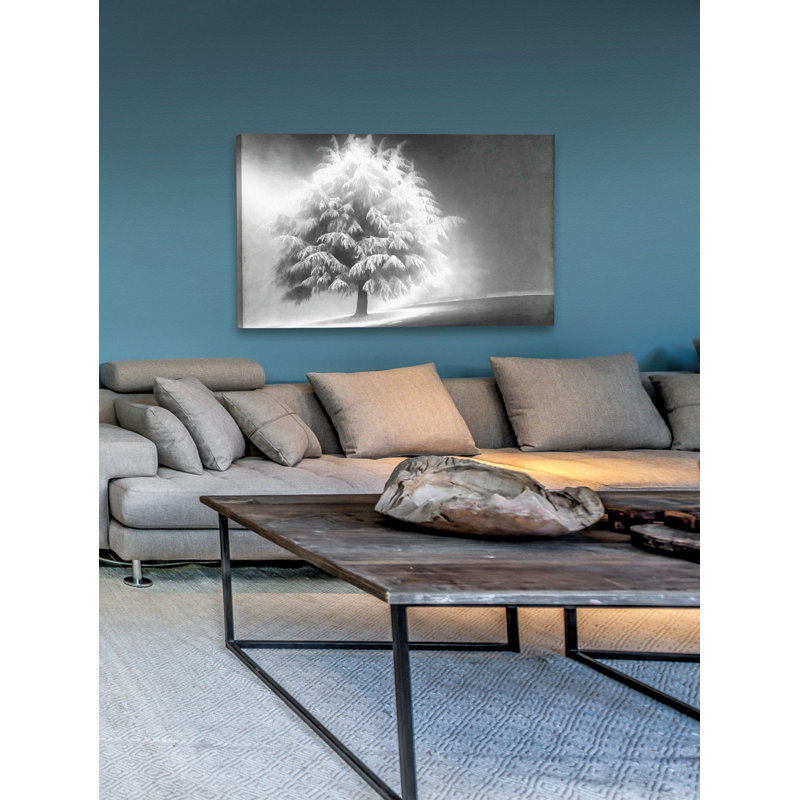 « lighted tree » par don schwartz, reproduction d’art sur toile tendue, 40 po x 60 po