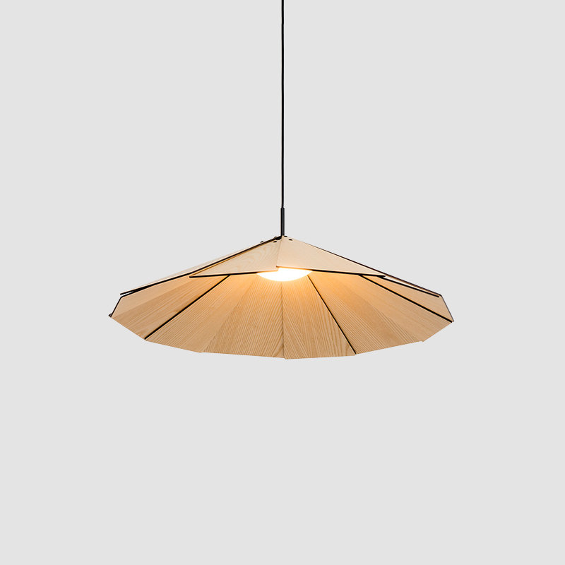 Sepal 1 - Light Cone LED Pendant