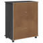 Solid Wood Rectangle Accent Cabinet-1594368526