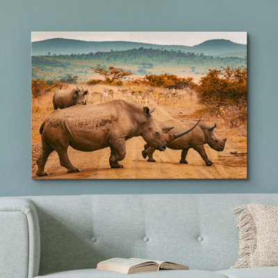 Animaux, savane africaine, safari, jungle, rhinocéros