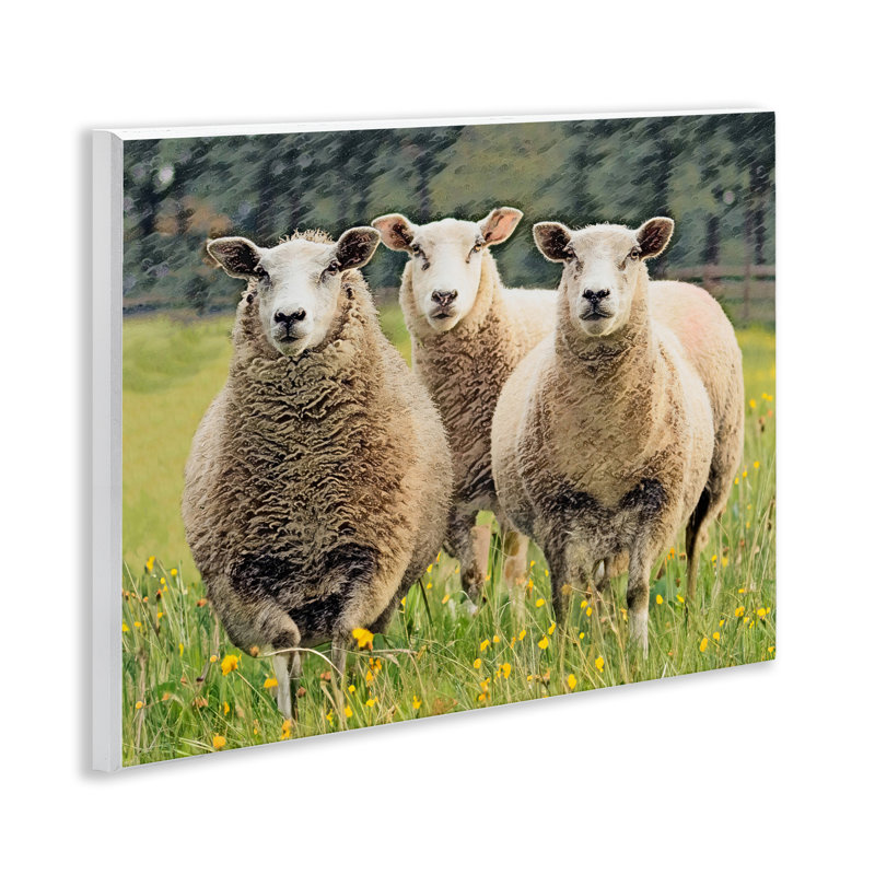 Moutons broutant dans l'herbe, art mural par Sundance Group, LLC.