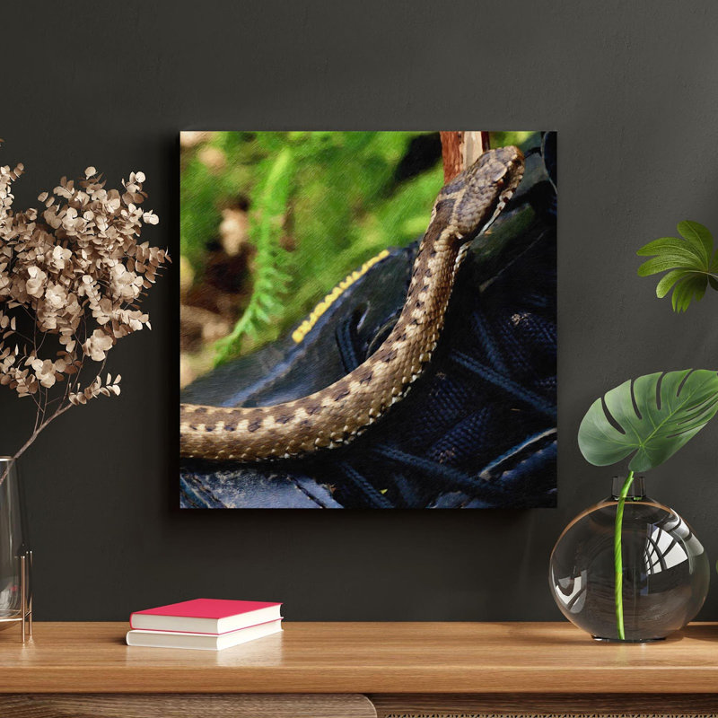 «Brown Snake On Black Rock», peinture sur toile tendue, H 12 po x l 12 po