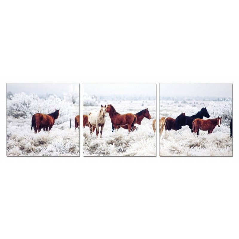 Darby 3 - Pieces