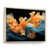 Cadre naturel flottant