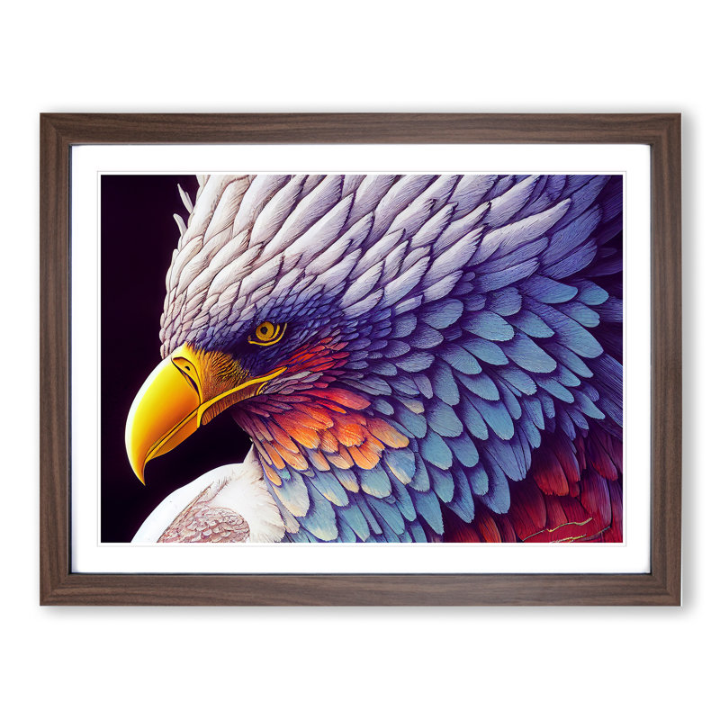 Colourful Eagle Bird Vol.2 1 Piece Single Picture Frame Wall Art, 46cm H x 64cm W x 2cm D, Walnut Framed