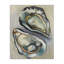 "Nautical Oyster Duo", art mural par Daphne Polselli bp-906_CN-533072731