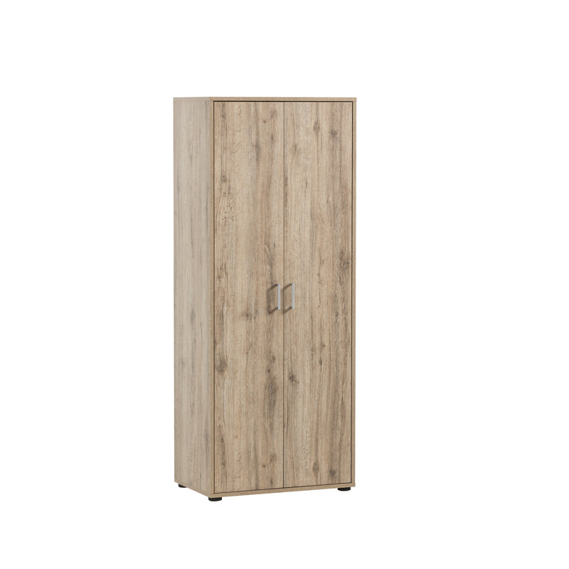Niels 2 -Door 4 -Shelf Storage Cabinet, Wild oak