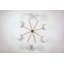 Stella 8 - Light Chandelier