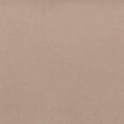 Cotton Beige Sample