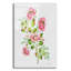 «Wild Rose Pink 2» par Jean Plout, art mural en verre acrylique-1562577098