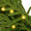 Ensemble de sapin de Noël en pot Everglow préilluminé en 4 pièces avec couronne, guirlande et lumières
