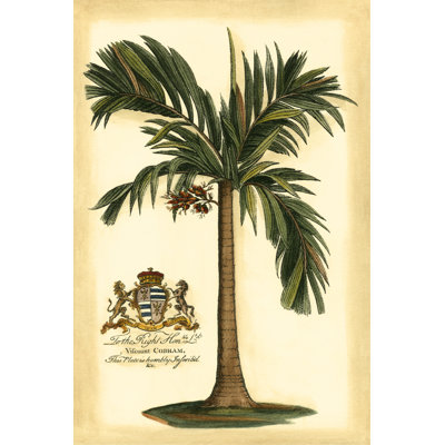 Palmier colonial britannique I