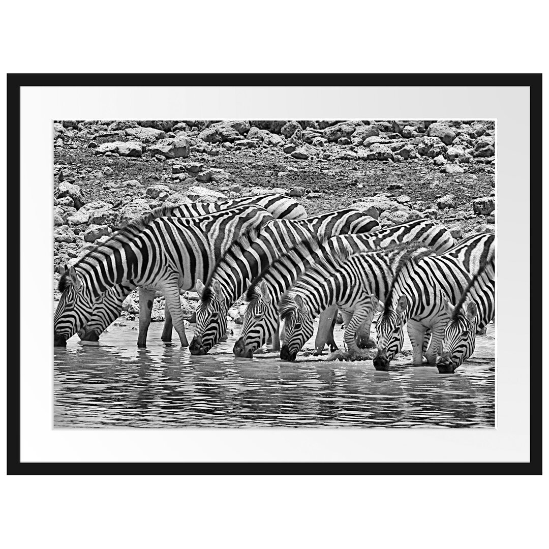 Gerahmtes Poster Zebraherde am Wasserloch