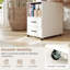 60cm W Manufactured Wood Bedside Table