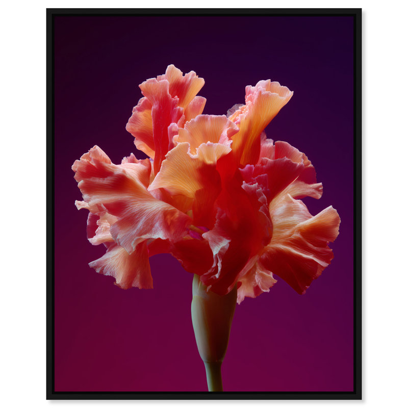 Taffeta Twilight I Print by Oliver Gal, 37"H x 46"W, Black Floater Frame