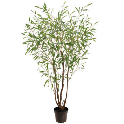 90" Eucalyptus Tree in Plastic Pot Green