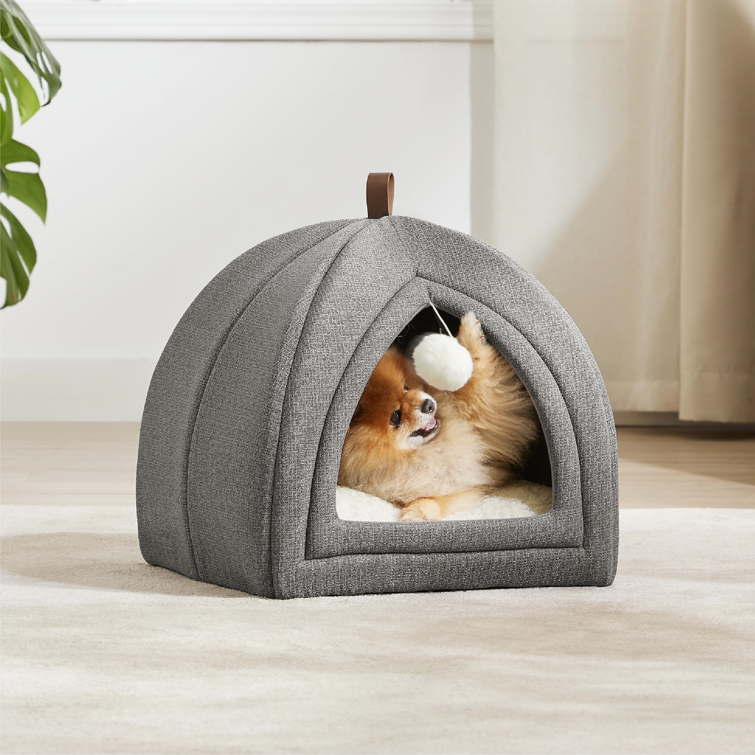 Archie & Oscar™ 2 in 1 Cat Cave for Kittens and Small Pets Wayfair Canada