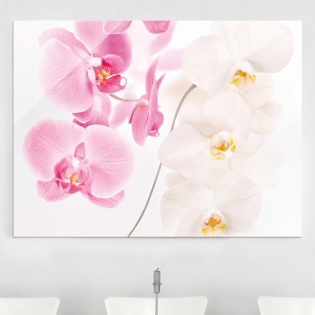 Glasbild Zarte Orchideen