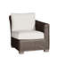 Rustic Patio Lounge Chair with Cushions-1110726824-1172305664-1172305910