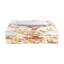 Amazonia Splendor Acrylic Candy Catchall Dish