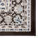 Alissia Oriental Indoor Rug