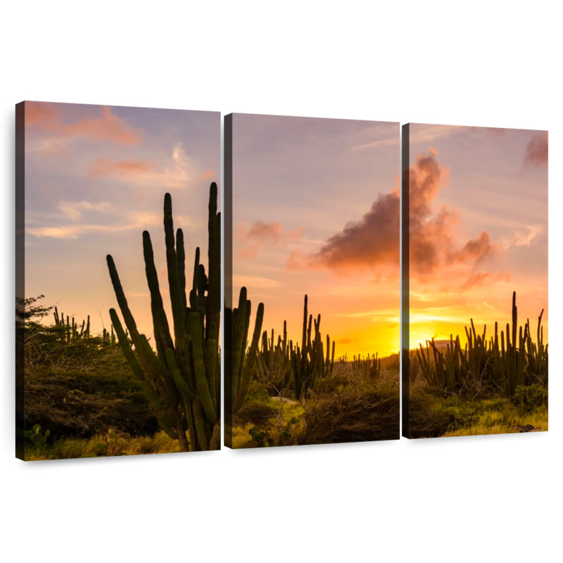 Harnek cactus coucher de soleil, H 36 po x l 57 po