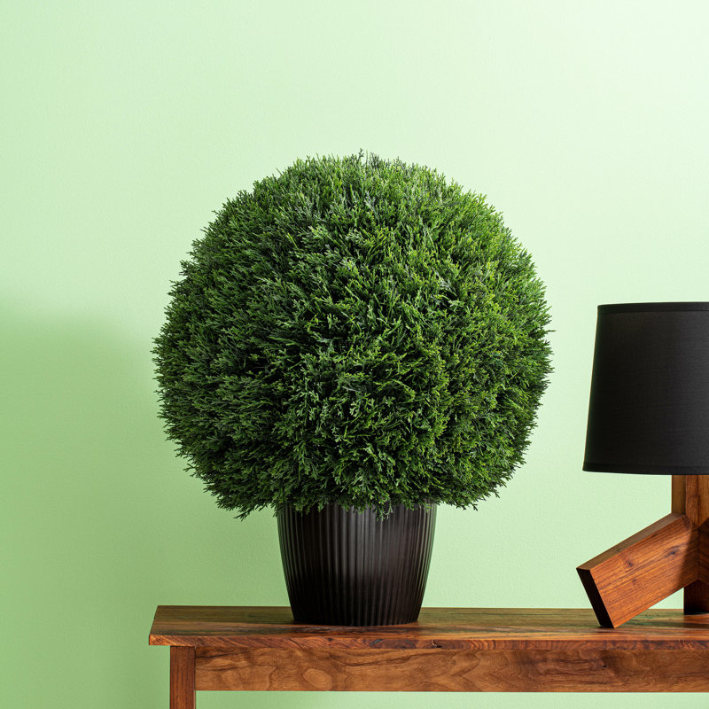 Vickerman Artificial Green Cedar Ball, 20" H x 20" W x 20" D