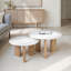 Bryn Banswara Marble Coffee Table, White Marble (Set of 2)