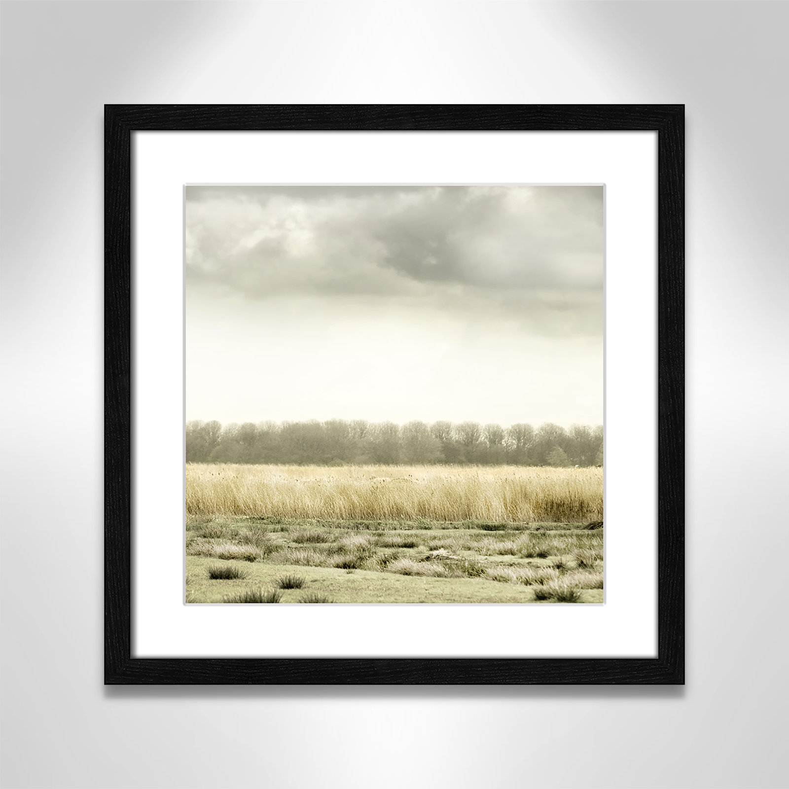 Henri "Meadowland" Print by Danita Delimont, 18.25" H x 18.25" W , Black Wood Grain