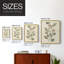 Pressed Arrangement III - Reproduction encadrée de qualité supérieure - prêt à être accroché - aucun clou requis - aucun clou requis-872068411-872068410