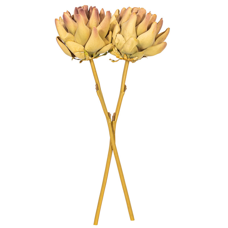 21,5 "brun clair Protea Stem 2 / Bag 21.5 plante, Mauve / Vert